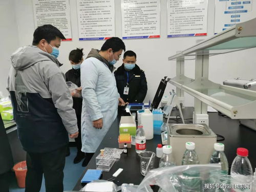 峨眉山市市場監(jiān)督管理局 你我共筑食品安全堅固防線