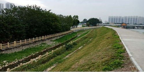 治水攻堅戰｜新華街水環境治理進行時，12月13日戰報及環境檢測服務動態